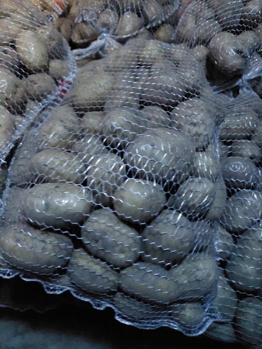 Sprzedam ziemniaki Irga