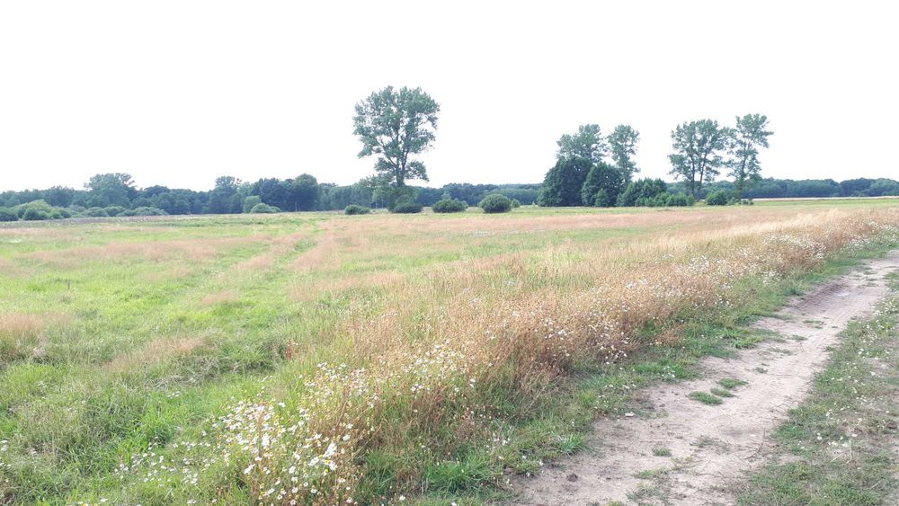 OKAZJA 14km Morze, 4złote m2, 9800m2 Duże działki, Siemidarżno OKAZJA