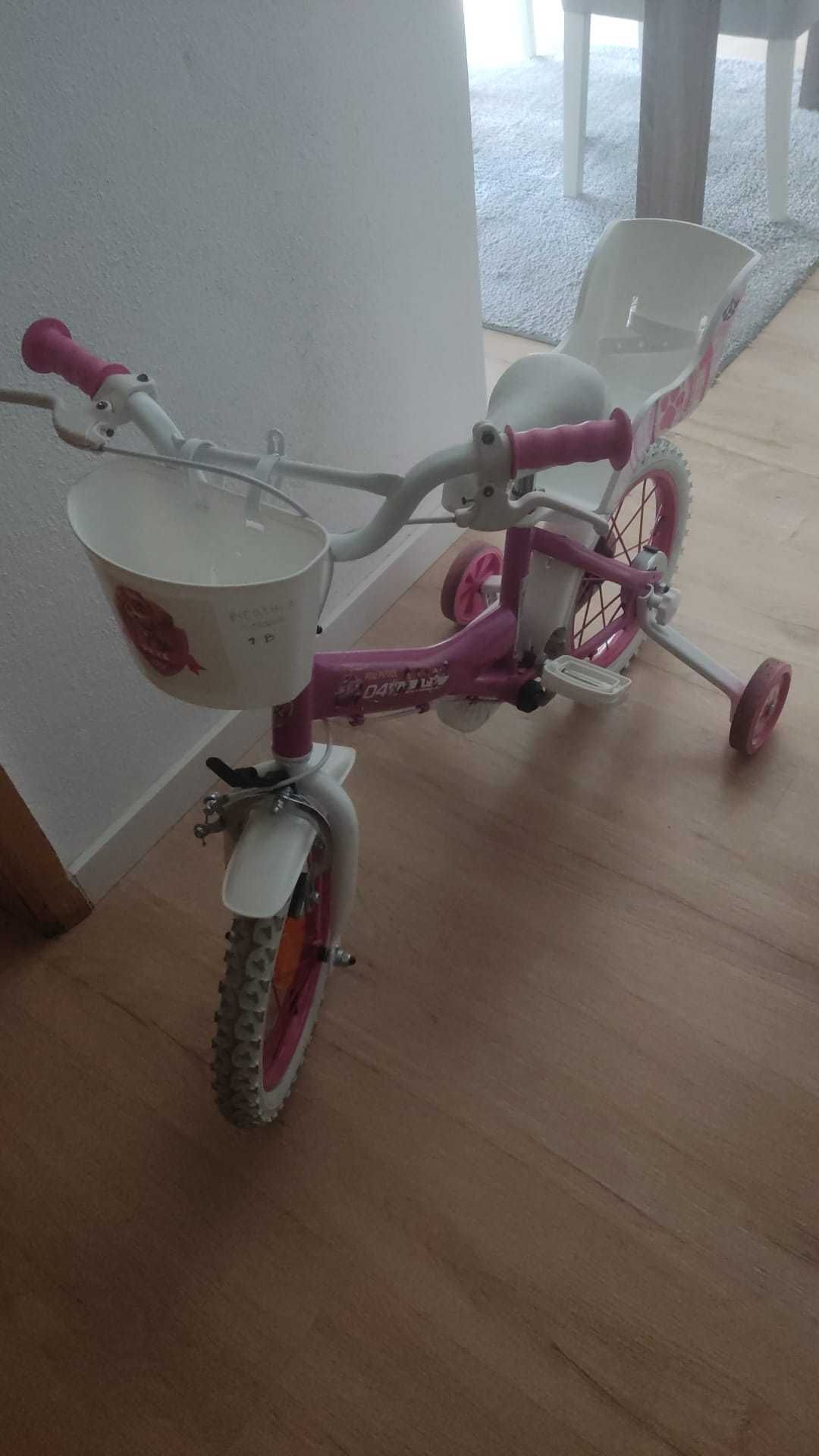 Bicicleta patrulha pata Sky