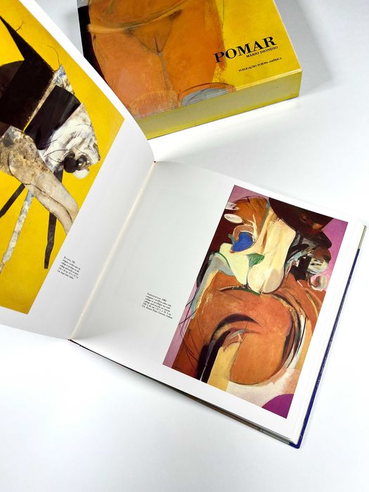 Júlio Pomar de Mário Dionísio Publicações Europa-América 1990 Livro