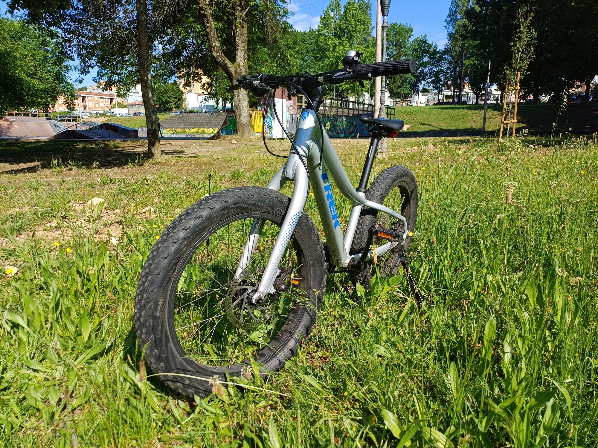 Trek Roscoe 20" Prata e Azul