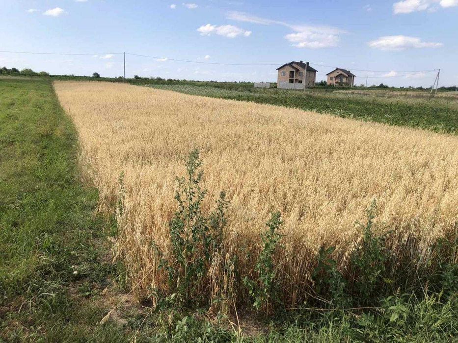 Продаж / Земля/Чукалівка / Франківськ