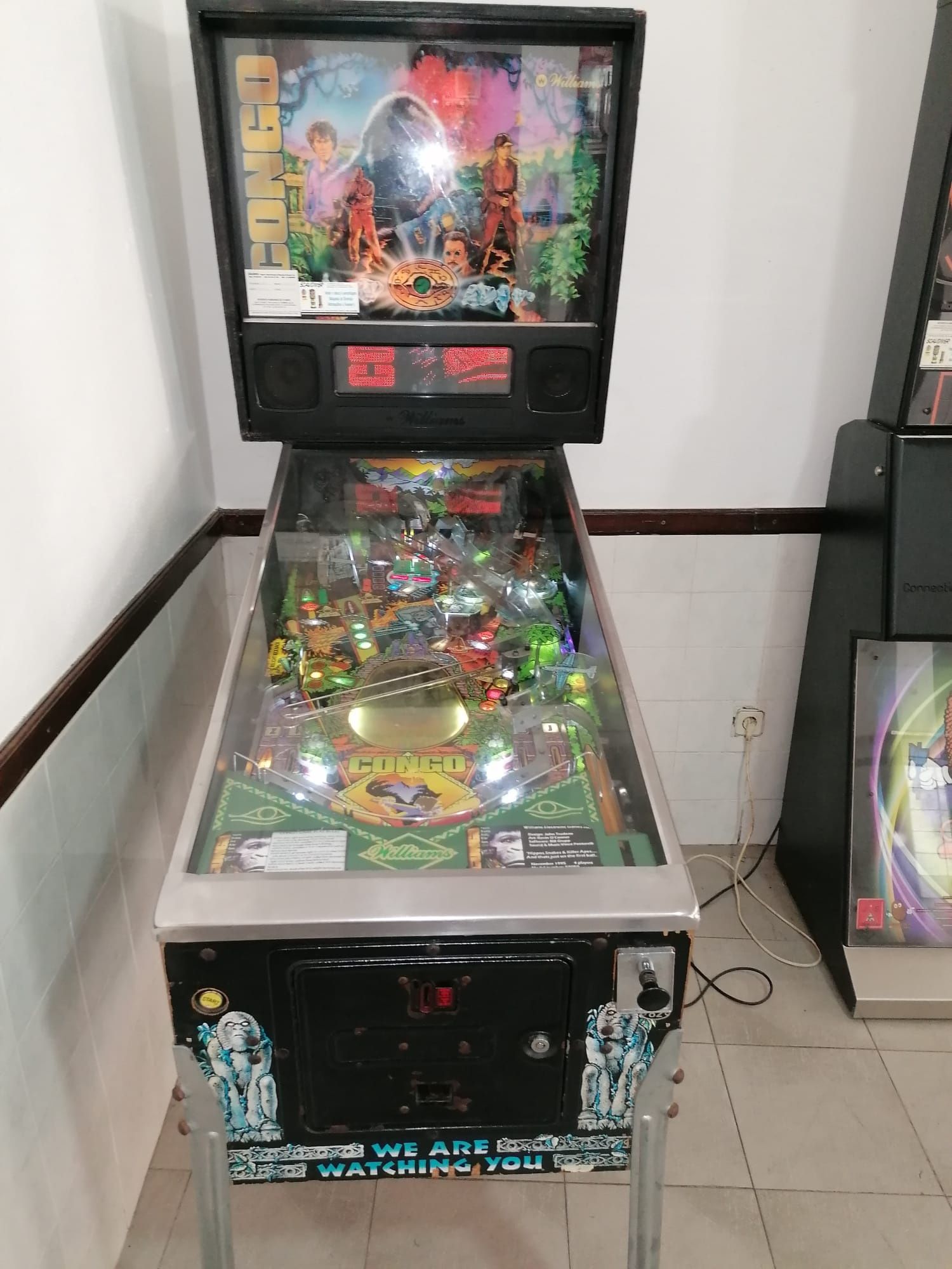 Flipper Williams Congo