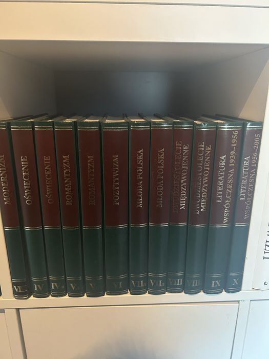 Zestaw książek  o historii literatury