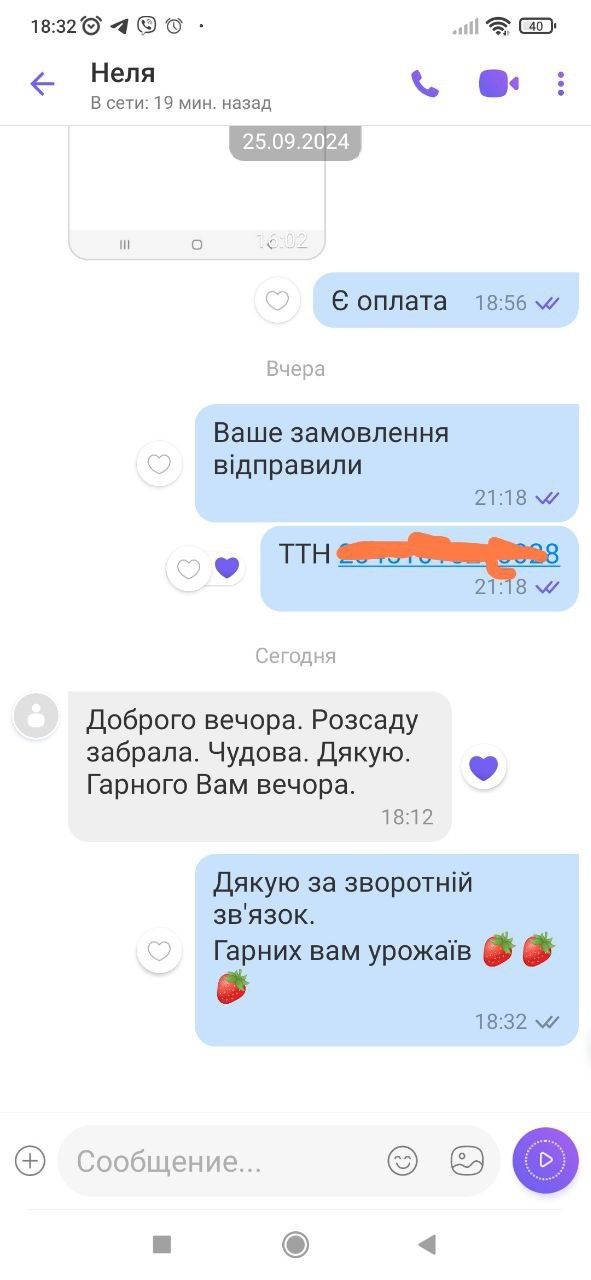 Саженцы клубники, малины и смородины. Оптом и в розницу
