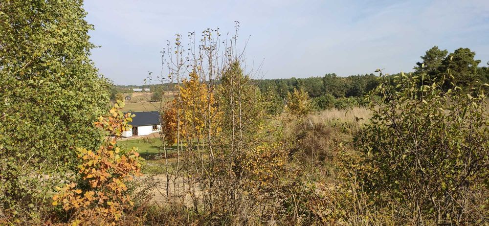 Działka Chraboły, gmina Dobrzyniewo Duże