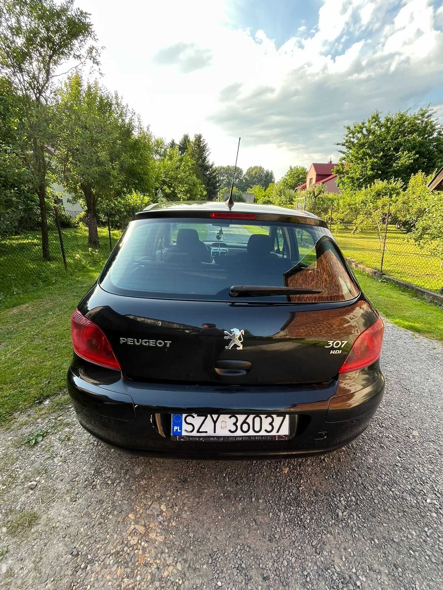 Pegueot 307 1.6 HDi