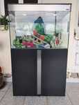 Aquario 120litros ciano