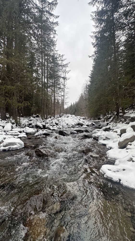 Ділянка в Дземброні біля потічка ( земля в Карпатах )