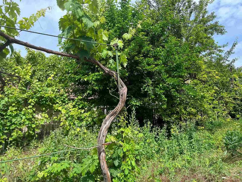 Чубаевка/ул.Донского! Фасадный участок под любой вид деятельности!1Y15
