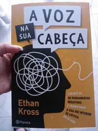 Livro A Voz na sua Cabeça