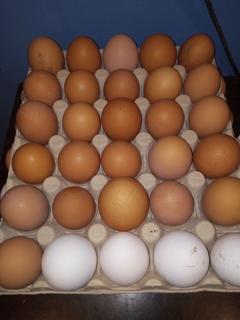 Jajka typowo wiejskie
