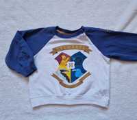 Bluza Cool Club Harry Potter 80
