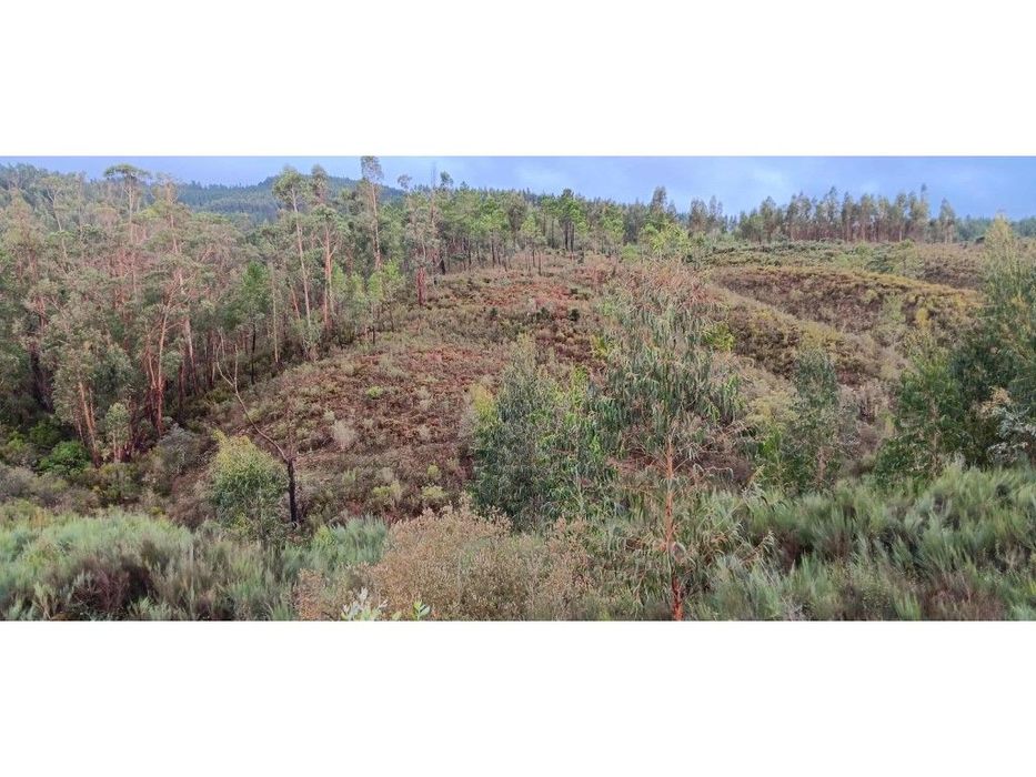 Terreno Rústico - 1.800 m² - Horta da Costa, Amêndoa, Mação