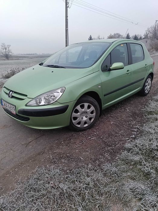 Sprzedam Peugeot 307 XS