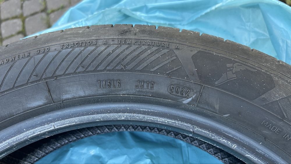 Goodyear EfficientGrip Performance 2 175/65 R17 2022 rok