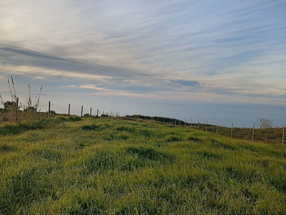 Terreno com Vista Mar na Foz do Arelho