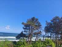 Apartament BalticHoff Dune z widokiem na morze 50 m od plaży basen SPA