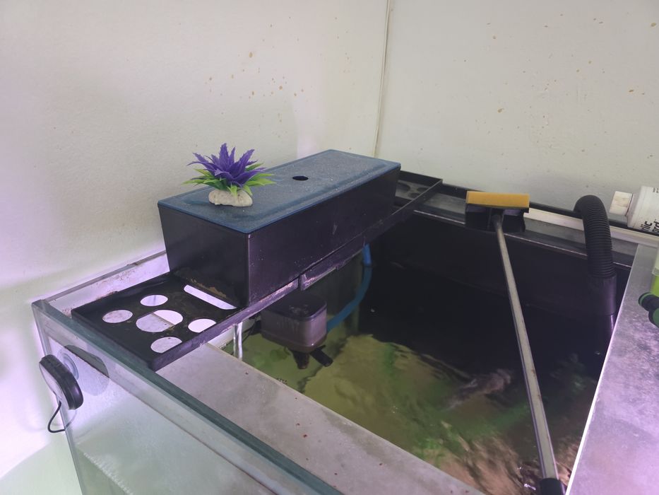 Aquario de 600 litros [fx6 menos de um ano]