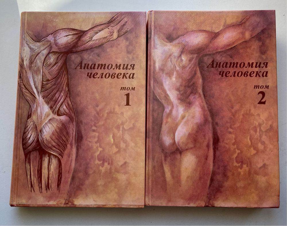 Анатомия человека: В двух томах под редакцией Сапина