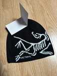 Arc'teryx Bird Head Toque Orca