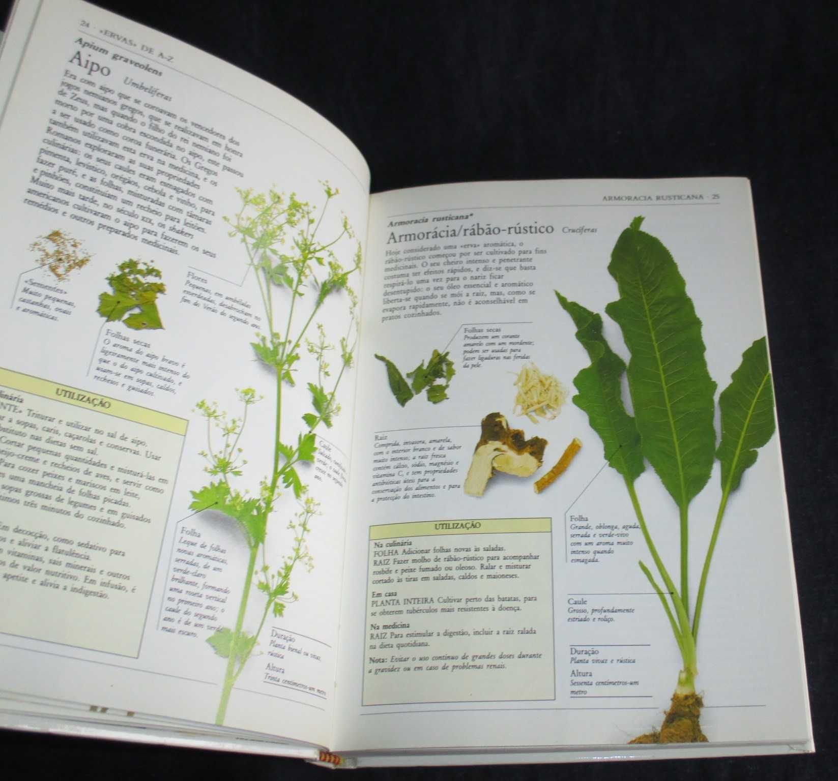 Livro Guia Prático Plantas Aromáticas Lesley Bremness