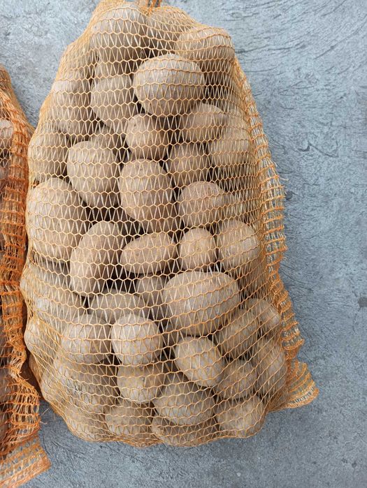 Ziemniaki jadalne odmiany Soraya