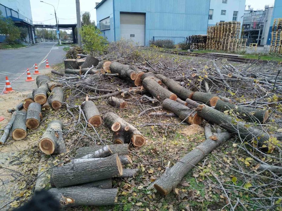 Вывоз мусора,веток,уборка участка, территории,спил деревьев,демонтаж