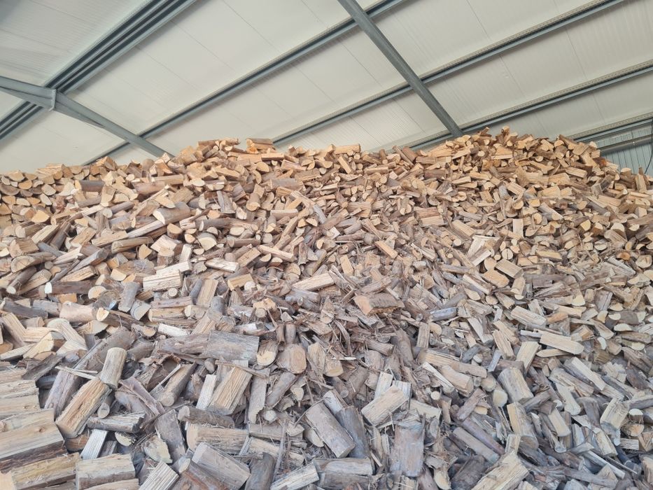 Lenha seca qualidade