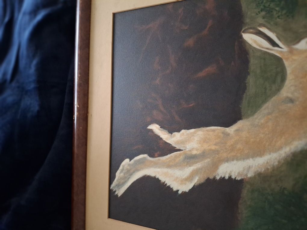 Quadro a oleo lebre assinado  f maia? Pintura