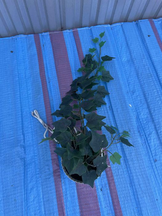 FEJKA
Sztuczna roślina doniczkowa, Bluszcz, 15 cm Z OSŁONKĄ