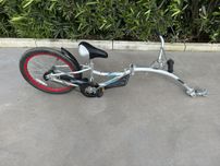 WeeRide Trailer Co-Pilot, bicicleta reboque.