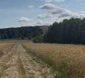 Na sprzedaż wyjątkowa działka nad rzeką Łyną! Mazury! OKAZJĄ !
