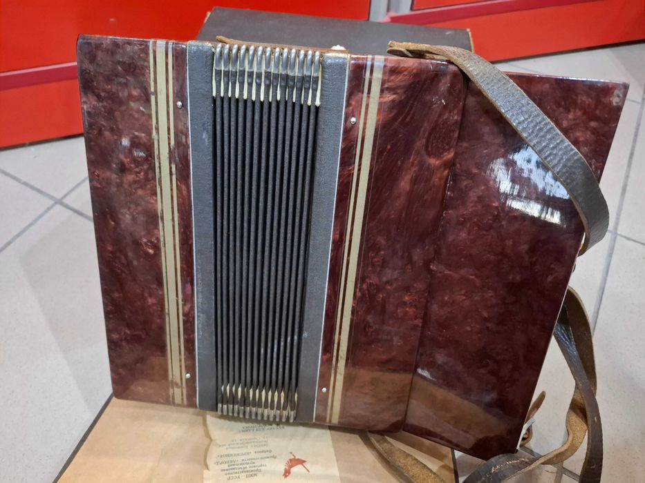 Mały Akordeon Hohner + futerał