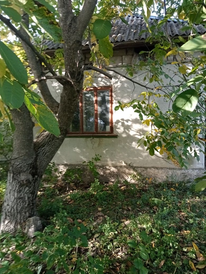 Будинок із земельною ділянкою