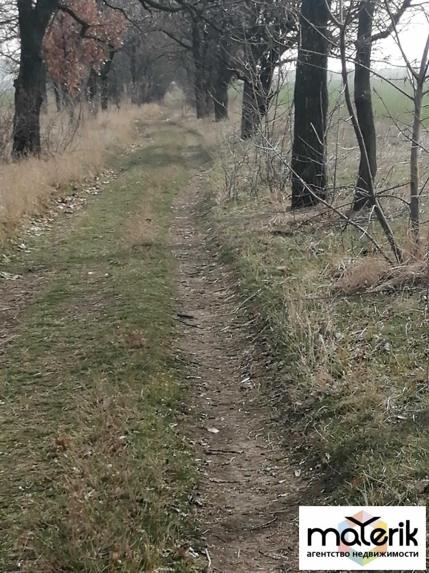 Ділянки на новій нарізціі у с.Фонтанка.