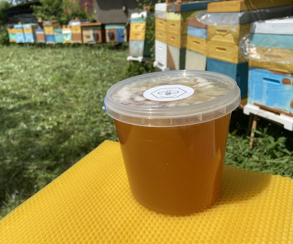 Прополіс. Прополюс. Продукти бджільництва. Бджолотовари