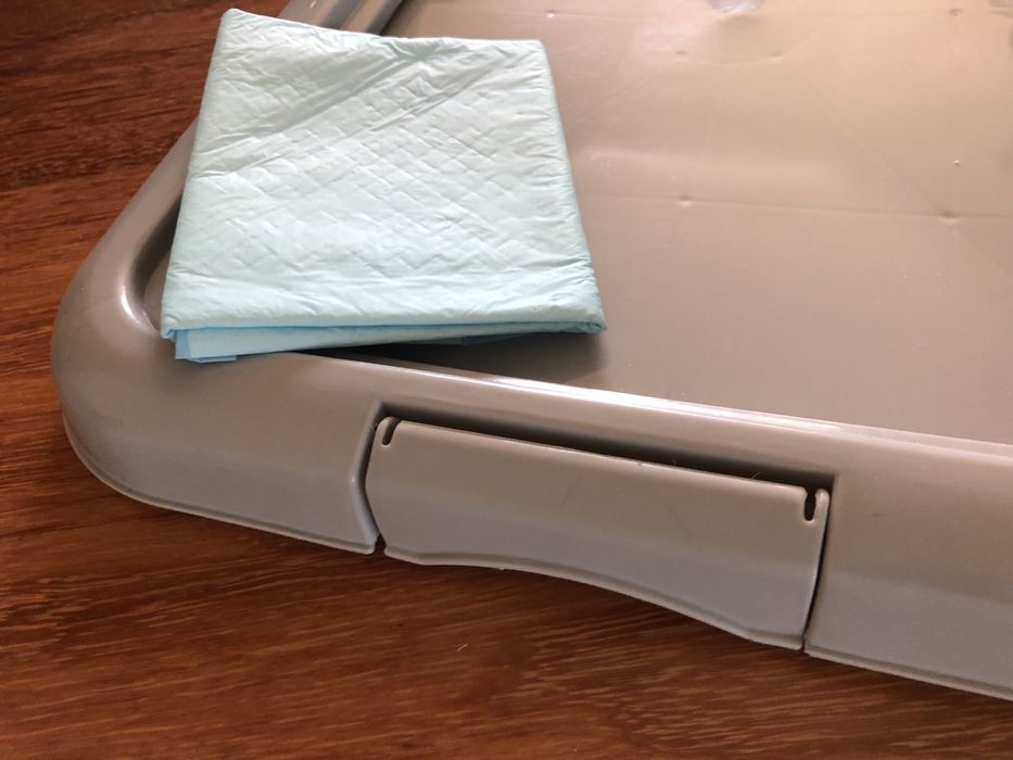 Puppy Trainer Flamingo