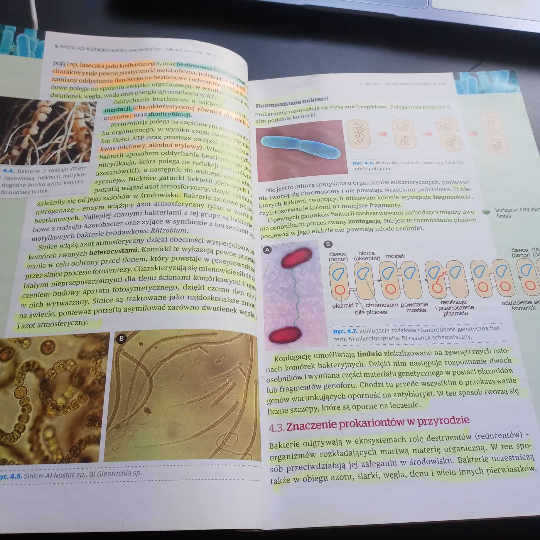 Biologia 1 OPERON Zakres rozszerzony