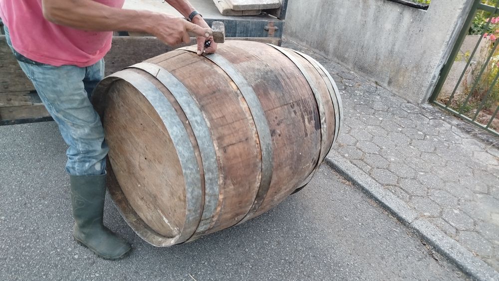 Pipa 500 litros velha para decoração