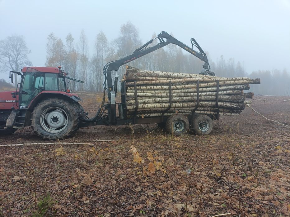 Wycinka drzew , zrywka, pozysk drewna