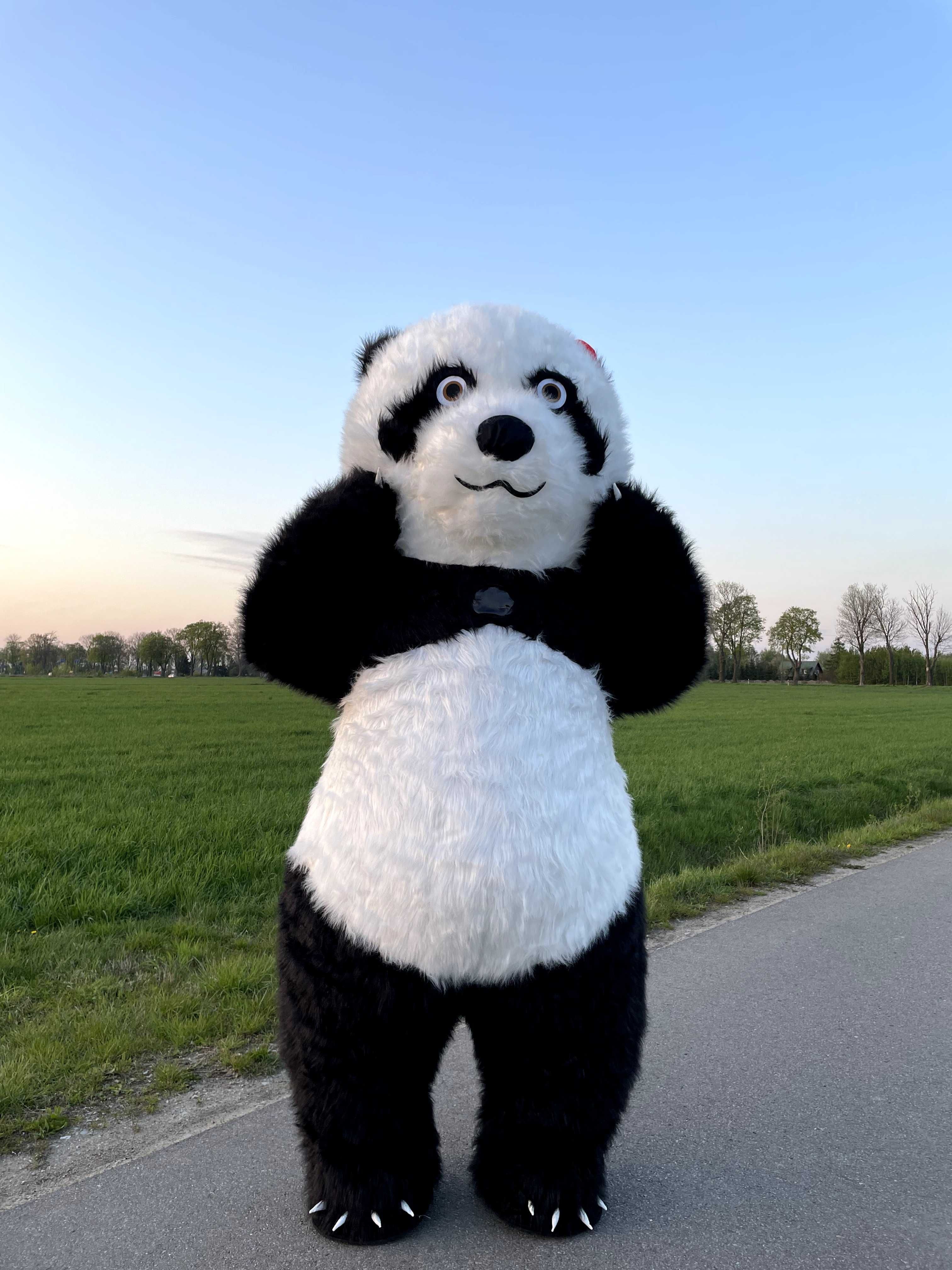 Panda - Idealna na Każdą Okazję! Balony z helem, Kwiaty!