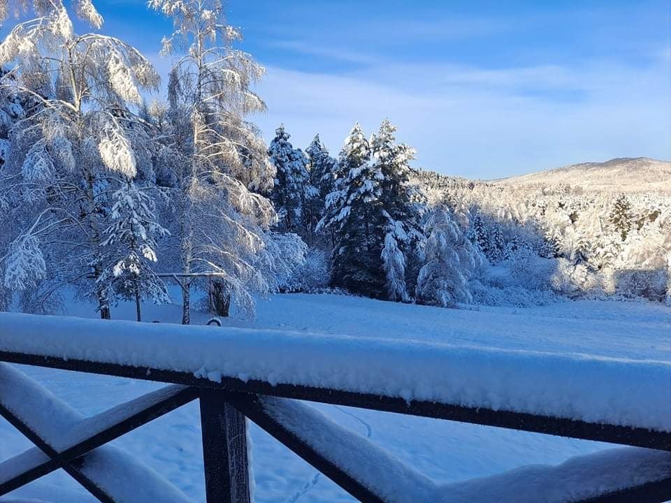 Domek pod lasem z pięknym widokiem Bieszczady.