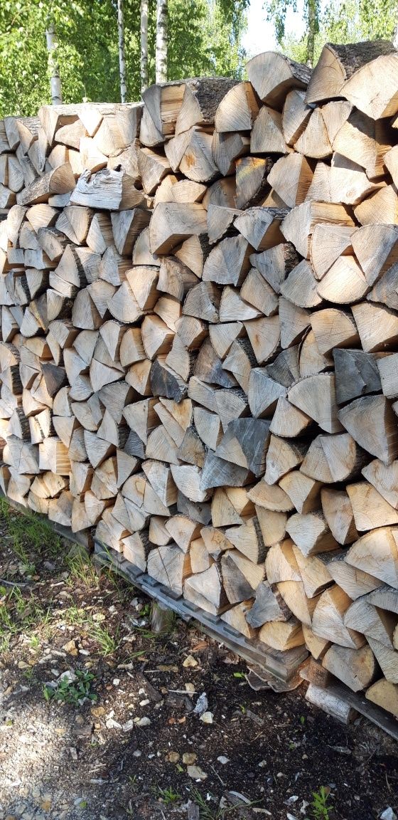 Suche Drewno kominkowe Tychy