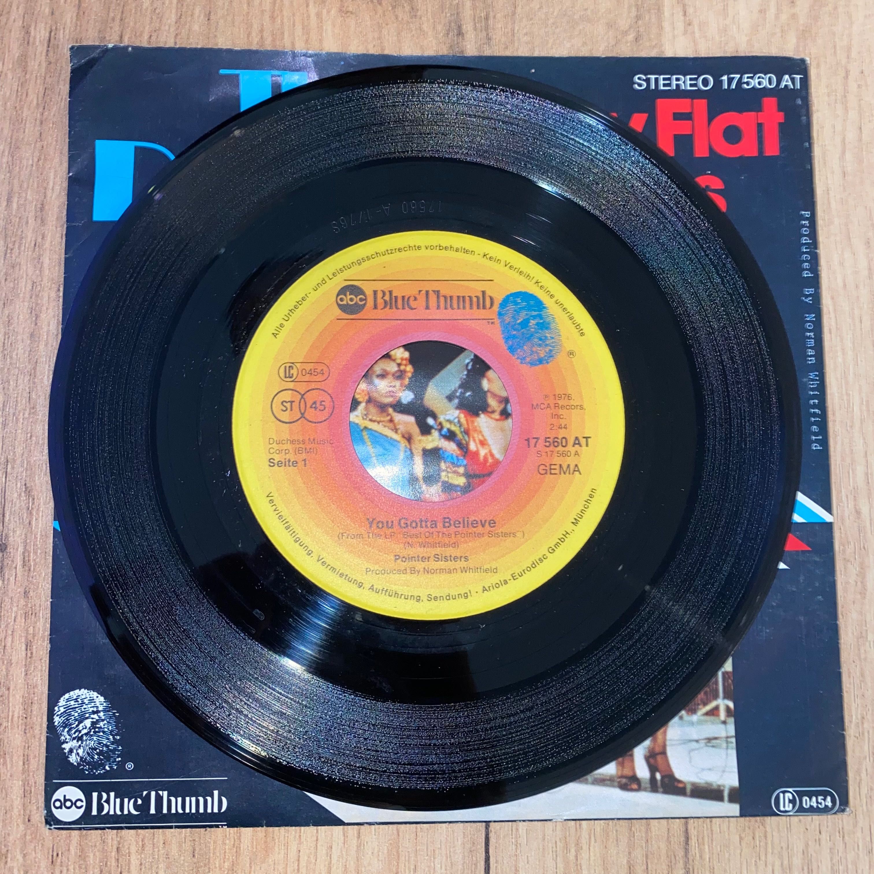 The Pointer Sisters - Shaky Flat Blues - Winyl SP 7" - 1974
