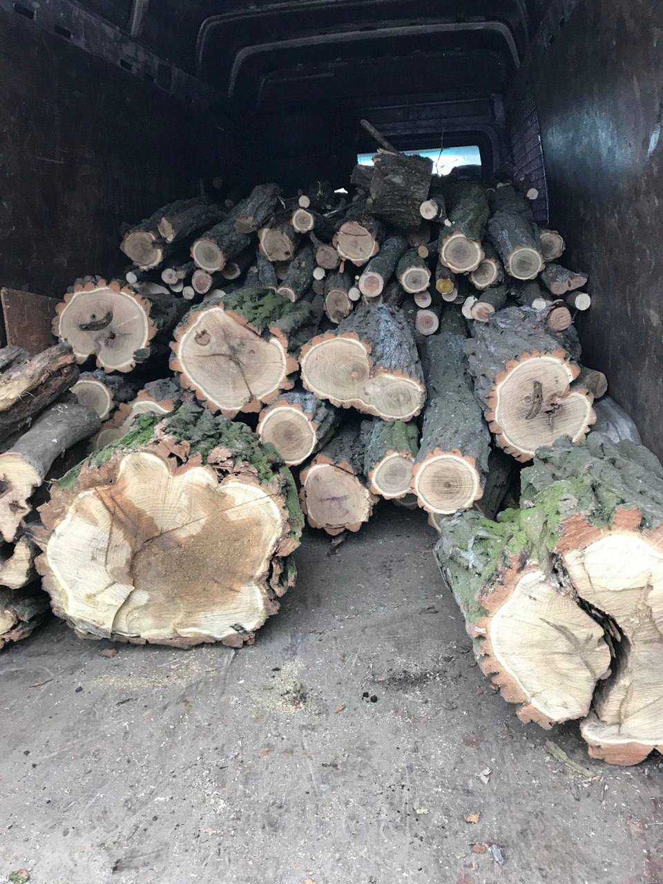 ‼️ВЫГОДНО‼️ Продам дрова с доставкой на участок – ясень сосна граб дуб