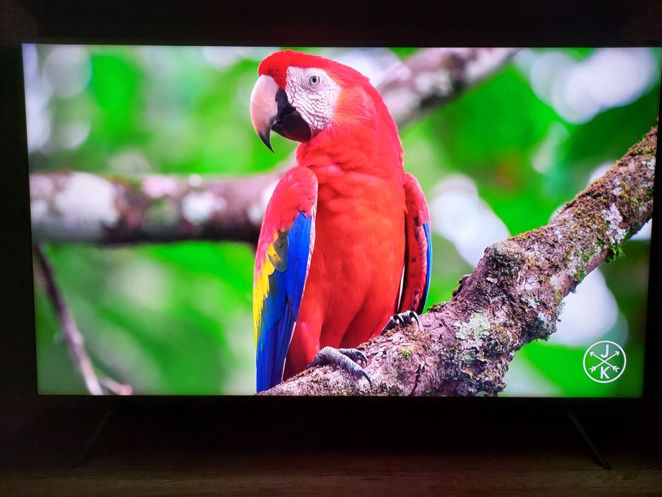 SmartTV QLED Samsung 55" 4K WiFi BT DVB-T2/S2/C Quantum HDR10+ ZESTAW!