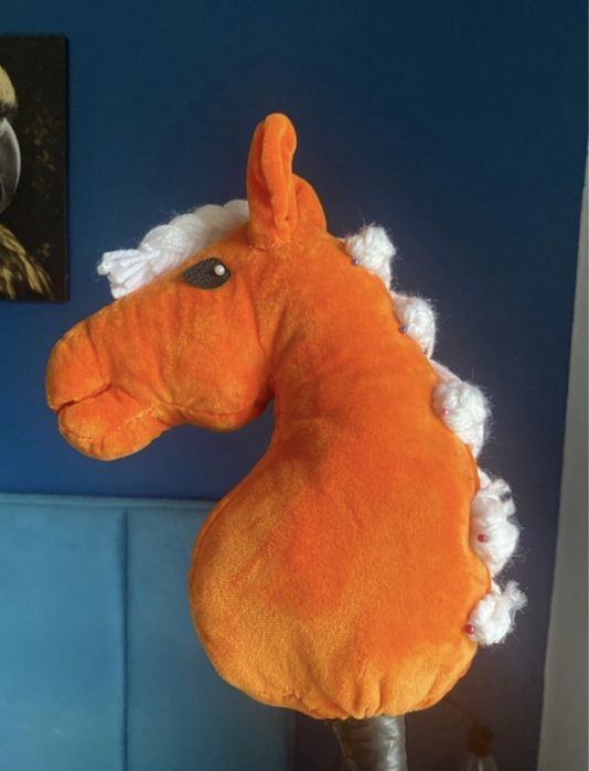 Hobby horse - konik na kiju