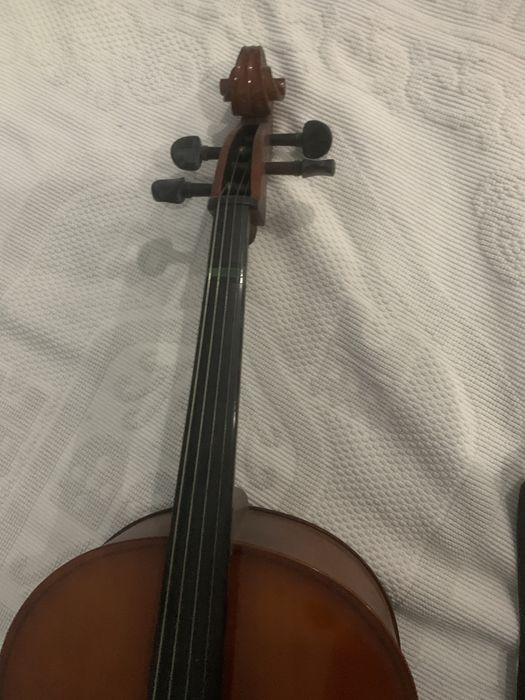 violoncelo estudante
