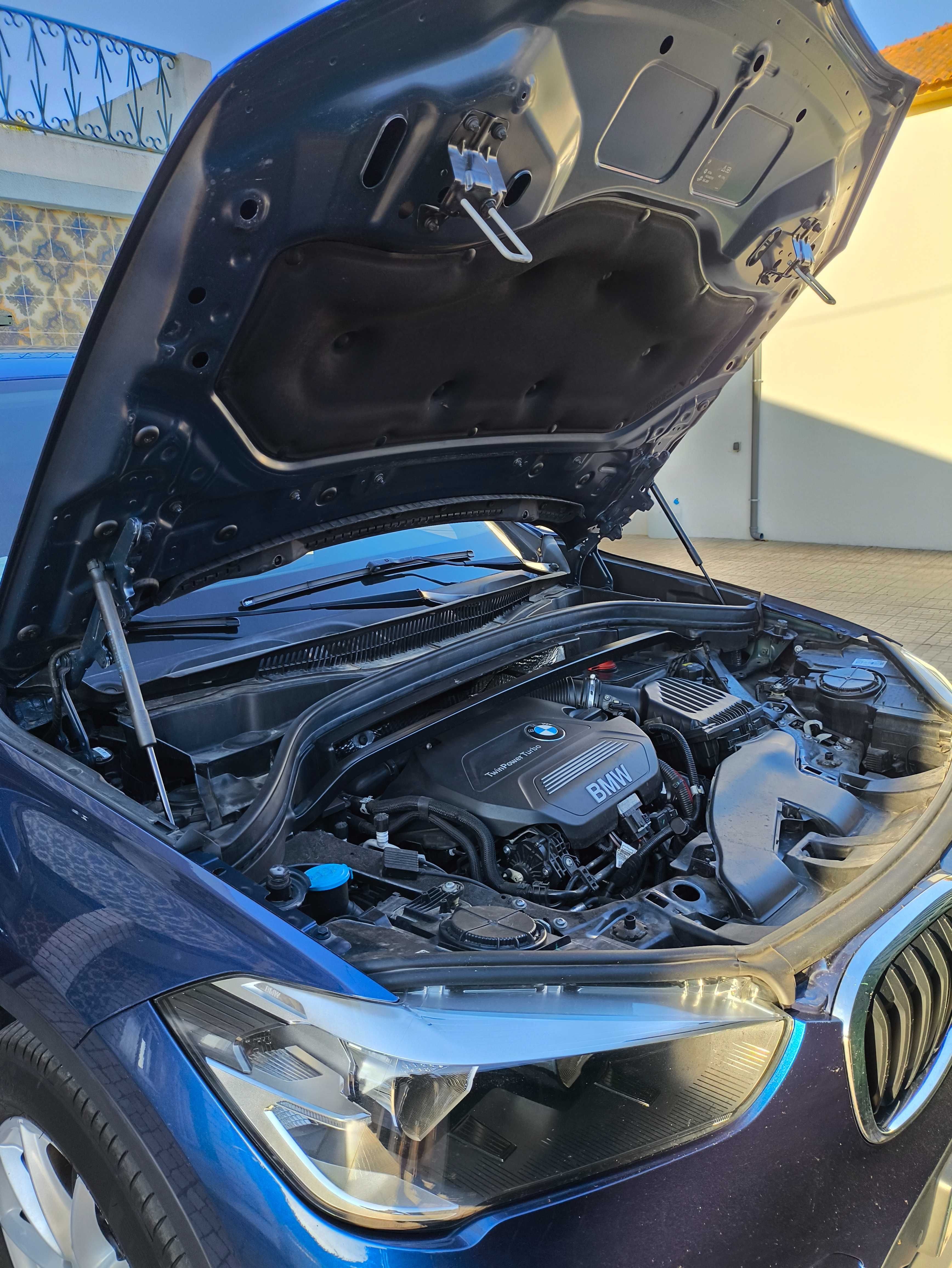 Excelente BMW X1 Sdrive 18D 1.8d (F48)